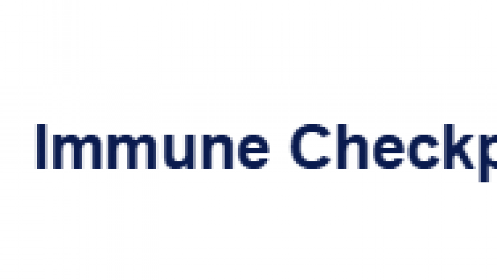 Custom immune checkpoint antibody fragment discovery
