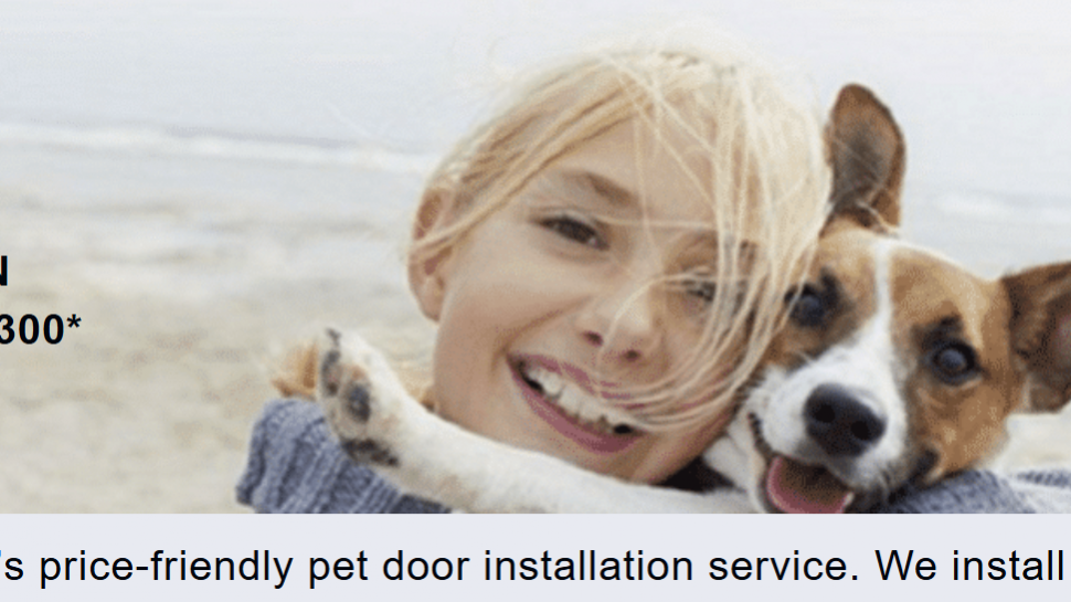 Why Professional Weekend Pet Door Installation Is Worth the Investment