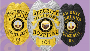 Custom Security Badges: Enhancing Professional Identity and Authority