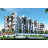 Prestige Evergreen