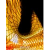 Big Book of Buildings