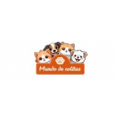 Mundo de colitas