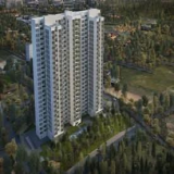 prestige forestedge