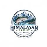HIMALAYAN TROUT . PK